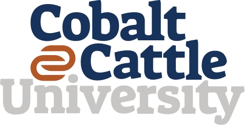 cc-university-logo
