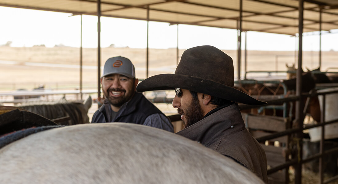 Two men talking and laughing next to horses in the stables