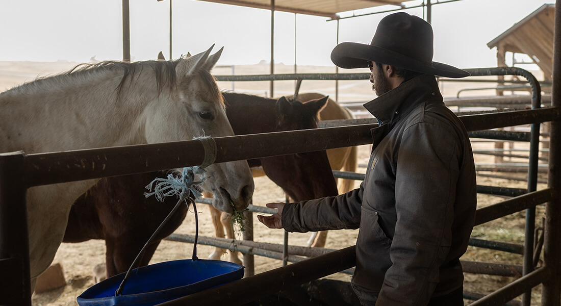 Male wearing a wide-brimmed hat feeding a white horse in the stables 